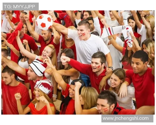 南京排球队意识争议引发热议球迷与专家观点碰撞激烈